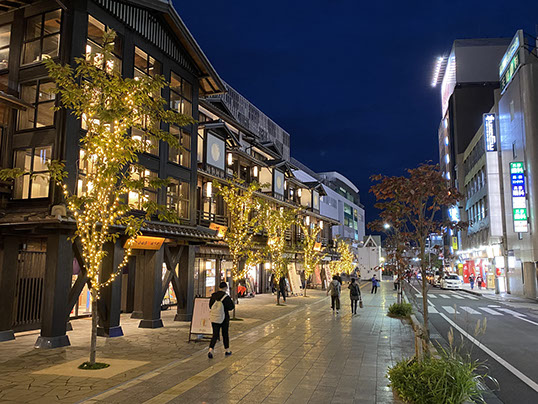 ディスプレイ　展示　イルミネーション　イルミネーション演出　厚木　厚木市　愛甲石田　和の装飾　和のイルミネーション　小田原　ファクトリーマオ   ファクトリーマオ株式会社