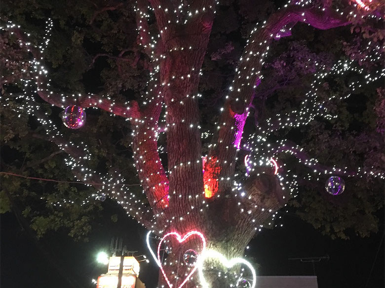 ディスプレイ　展示　厚木　厚木市　愛甲石田　横須賀市　横須賀　記念艦　戦艦　三笠　三笠ビル商店街　入口装飾　ファクトリーマオ   ファクトリーマオ株式会社