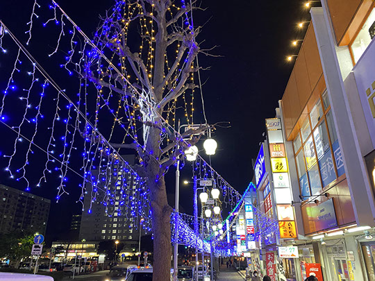 イルミネーション　街路イルミネーション　厚木　神奈川　横浜　洋光台　ファクトリーマオ 株式会社 